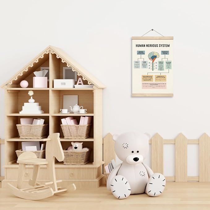 Yxadu Therapy Decorations - Canvas Brain Function Learning Poster, Human Brain Decor for Medical School Wall Decor, Counselor Office Ornaments